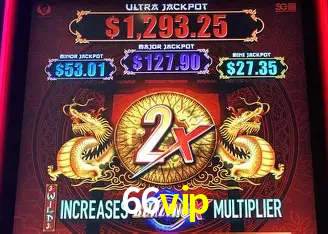 A Emoção da Loteria na 66vip: Uma Chance de Mudança de Vida